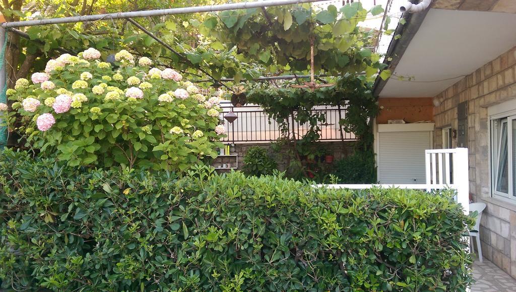 Guest House Vucicevic Budva Exterior foto
